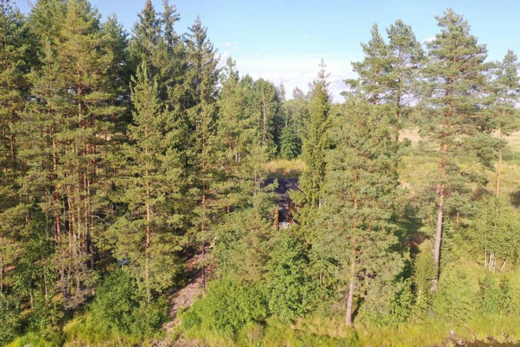 Viking House In The Tree! Jacuzzi, Sauna,Apkure! Lici  Exterior photo